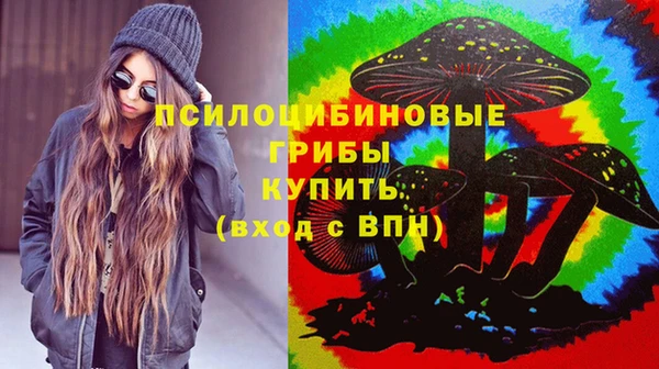 соль курить ск Арсеньев