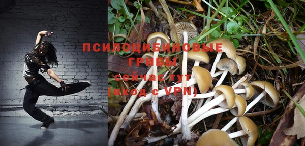шишки Армянск