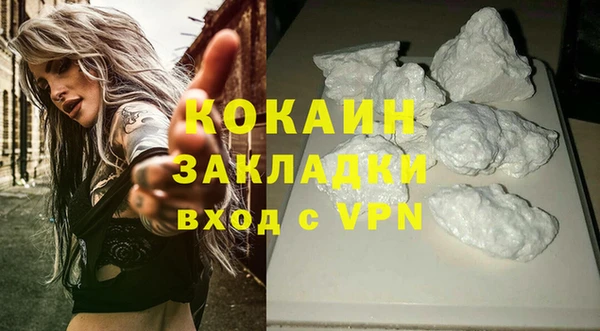шишки Армянск