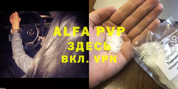spice Аркадак