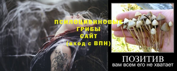 шишки Армянск